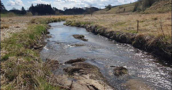 Rebstrup Fiskeri
